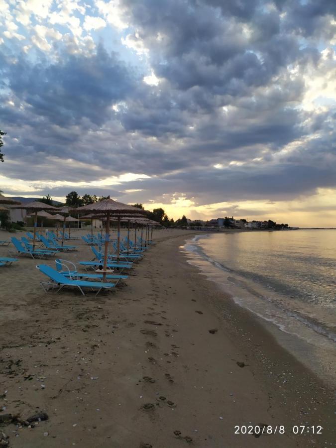 Aegean View Seaside Apartment Καβάλα Εξωτερικό φωτογραφία